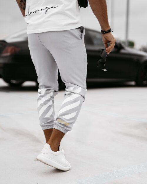 Spodnie męskie Stranger Ola Voga j.szary