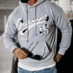 Bluza męska z kapturem WILD OLAVOGA szara